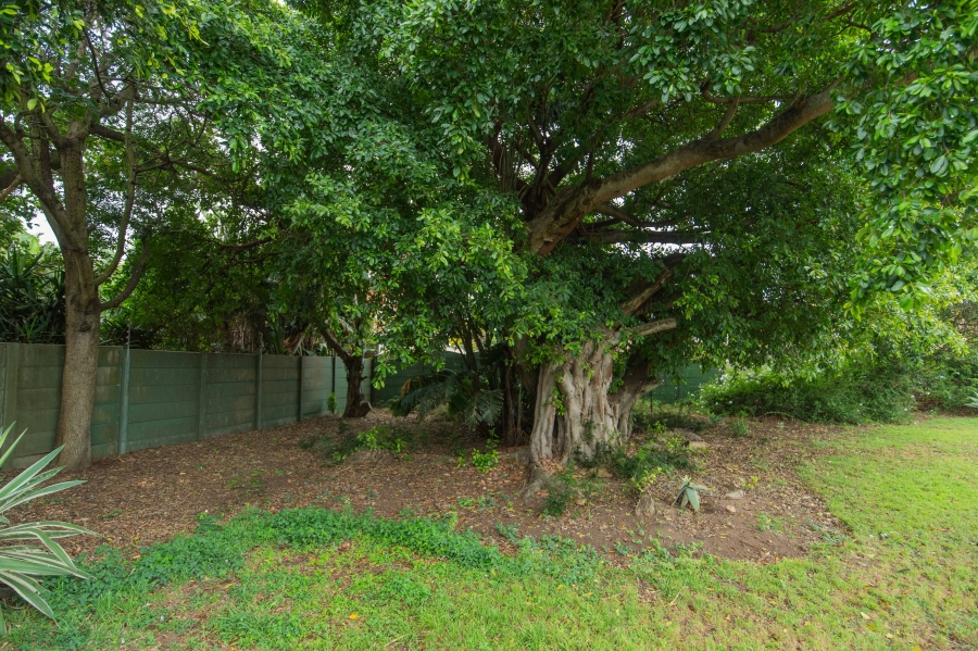 4 Bedroom Property for Sale in Amsterdamhoek Eastern Cape